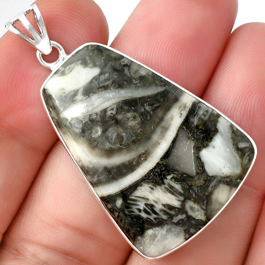Natural Mexican Cabbing Fossil Pendant P-1001 SDP128268