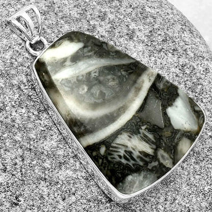 Natural Mexican Cabbing Fossil Pendant P-1001 SDP128268