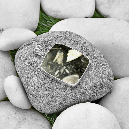 Natural Mexican Cabbing Fossil Pendant P-1001 SDP128480