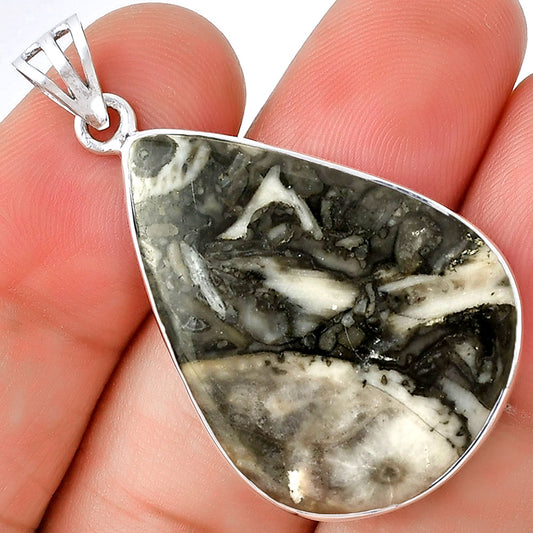 Natural Mexican Cabbing Fossil Pendant P-1001 SDP128662