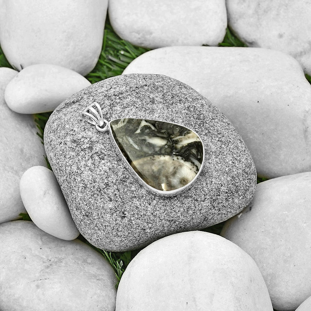 Natural Mexican Cabbing Fossil Pendant P-1001 SDP128662