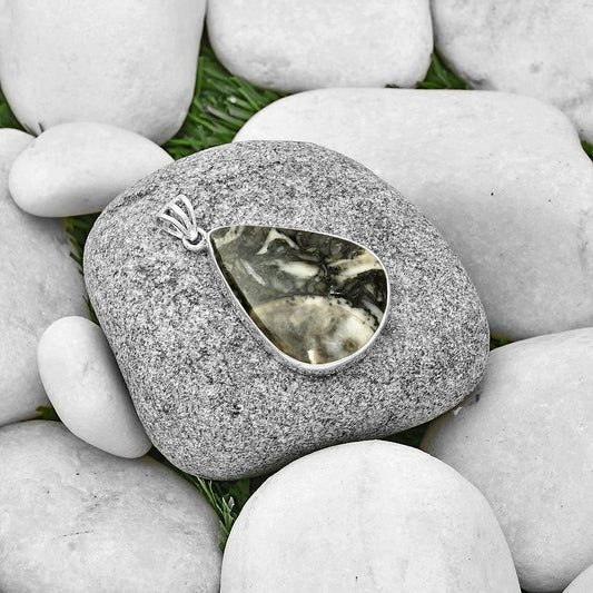 Natural Mexican Cabbing Fossil Pendant P-1001 SDP128662
