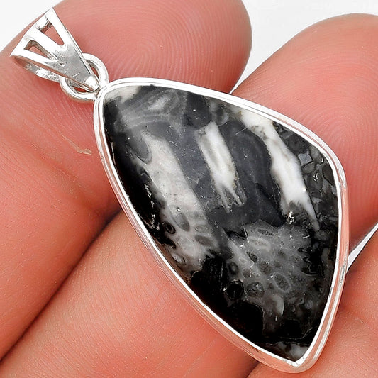 Natural Mexican Cabbing Fossil Pendant P-1050 SDP129774