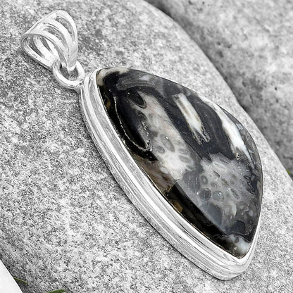 Natural Mexican Cabbing Fossil Pendant P-1050 SDP129774