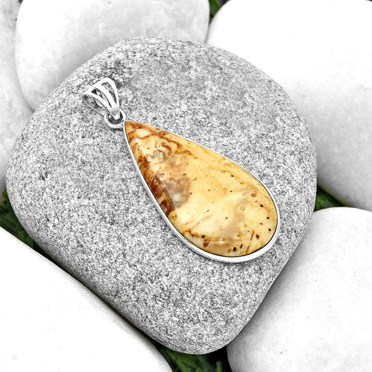 Natural Palm Root Fossil Agate Pendant P-1001 SDP130202