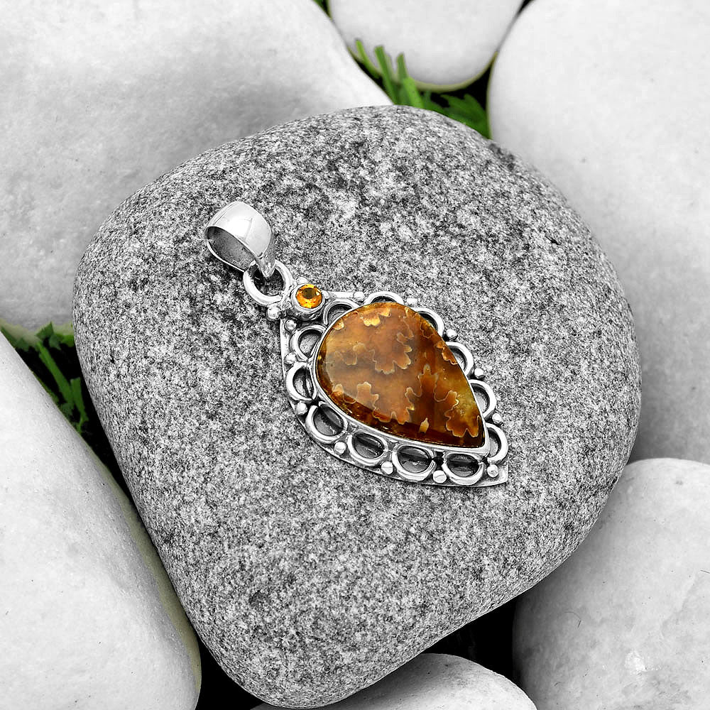 Sutured Ammonite Madagascar & Citrine Pendant P-1080 SDP131795