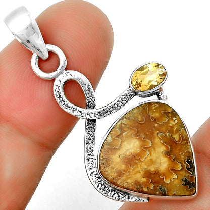 Sutured Ammonite Madagascar & Citrine Pendant P-1111 SDP132015