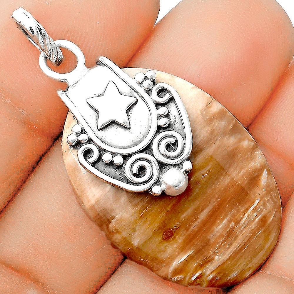 Star - Natural Petrified Wood Pendant P-1313 SDP134687