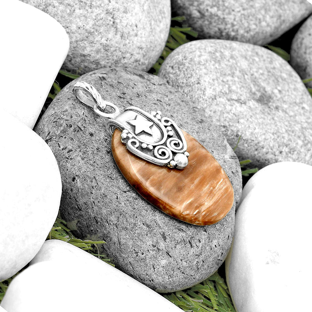 Star - Natural Petrified Wood Pendant P-1313 SDP134687