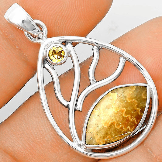 Sutured Ammonite Madagascar & Citrine Pendant P-1572 SDP136012