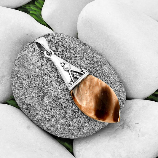 Natural Petrified Wood Pendant P-1139 SDP136757