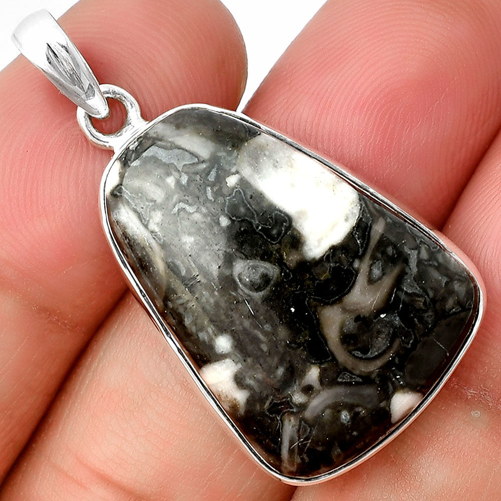 Natural Mexican Cabbing Fossil Pendant P-1001 SDP136903