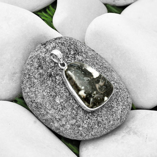 Natural Mexican Cabbing Fossil Pendant P-1001 SDP136903