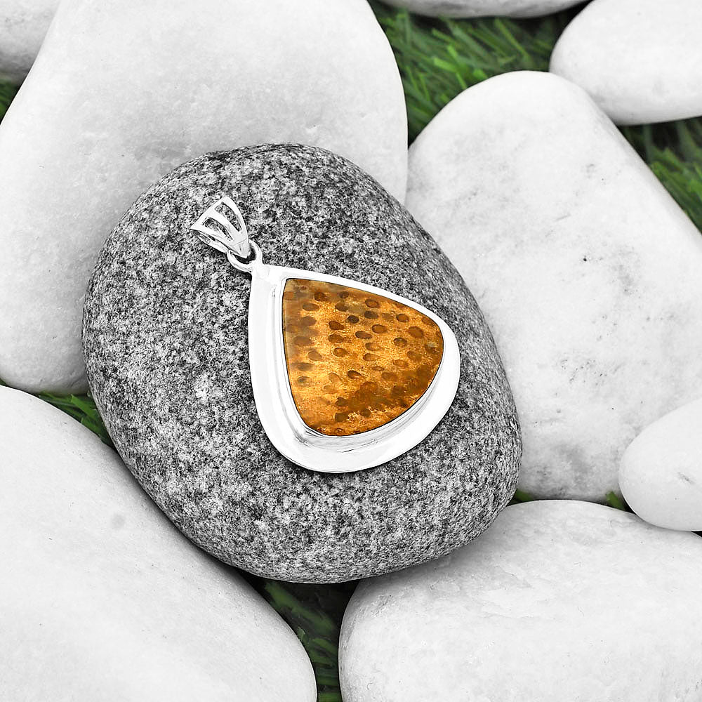 Natural Palm Root Fossil Agate Pendant P-1076 SDP138843