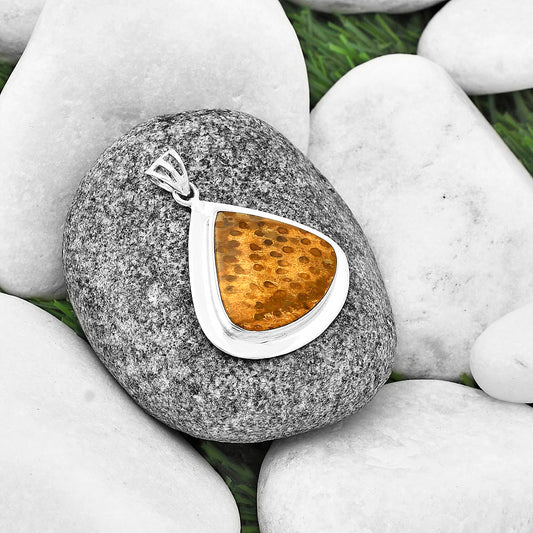 Natural Palm Root Fossil Agate Pendant P-1076 SDP138843