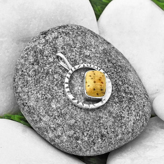 Natural Palm Root Fossil Agate Pendant P-1067 SDP139621