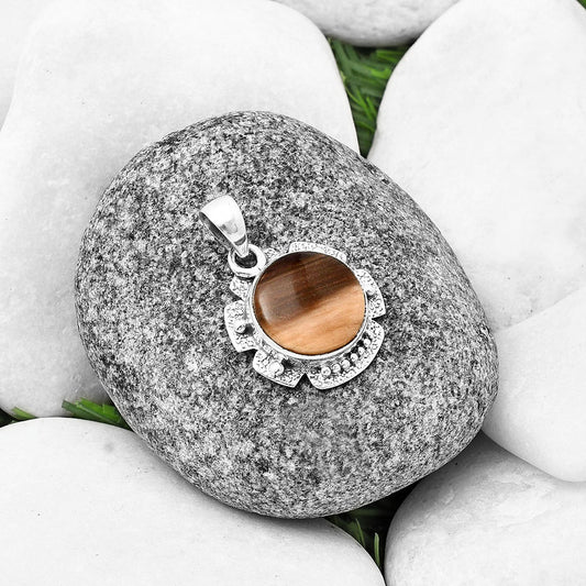 Natural Petrified Wood Pendant P-1485 SDP140265