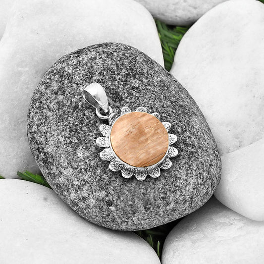 Natural Petrified Wood Pendant P-1205 SDP140392