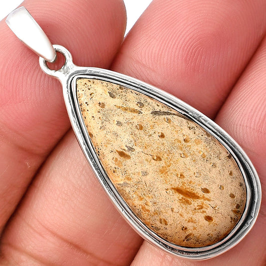 Natural Palm Root Fossil Agate Pendant P-1050 SDP140441