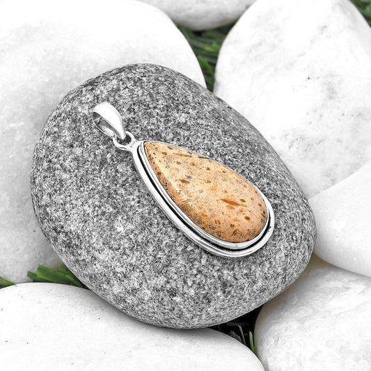 Natural Palm Root Fossil Agate Pendant P-1050 SDP140441