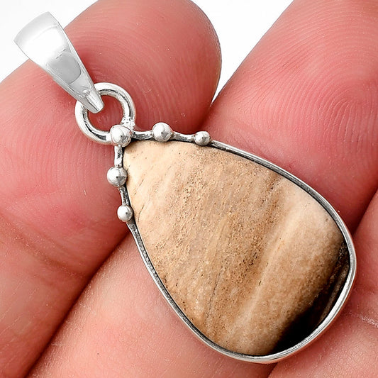 Natural Petrified Wood Pendant P-1349 SDP140678