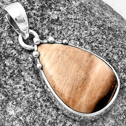 Natural Petrified Wood Pendant P-1349 SDP140678