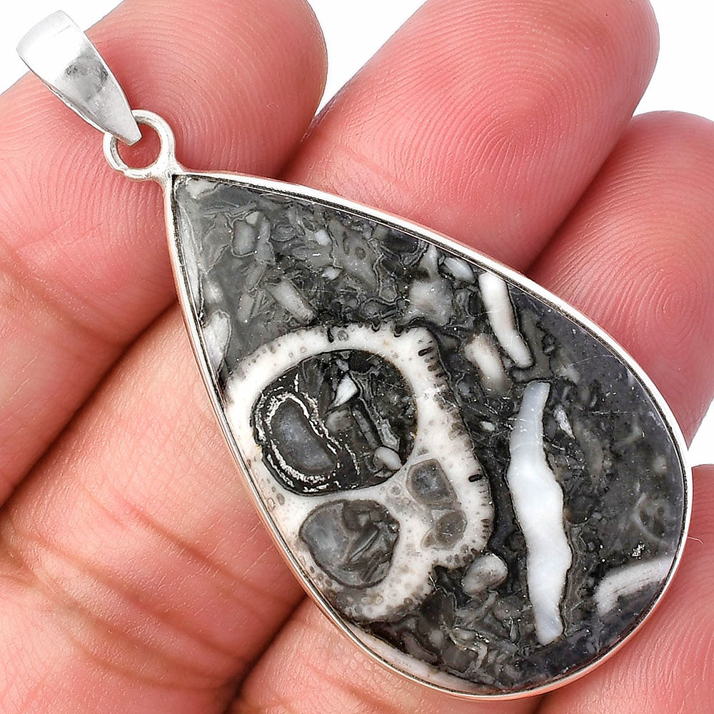 Natural Mexican Cabbing Fossil Pendant P-1001 SDP141849