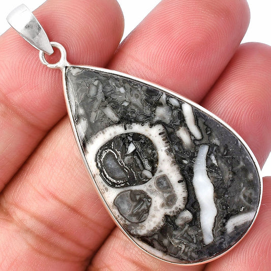 Natural Mexican Cabbing Fossil Pendant P-1001 SDP141849