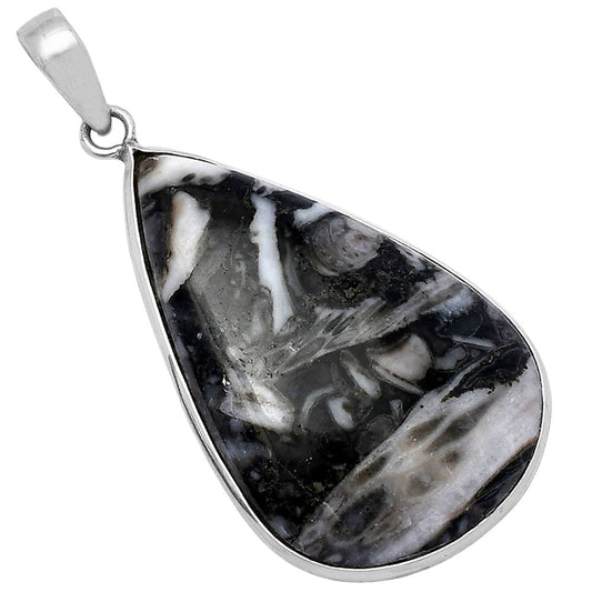 Natural Mexican Cabbing Fossil Pendant P-1001 SDP142016