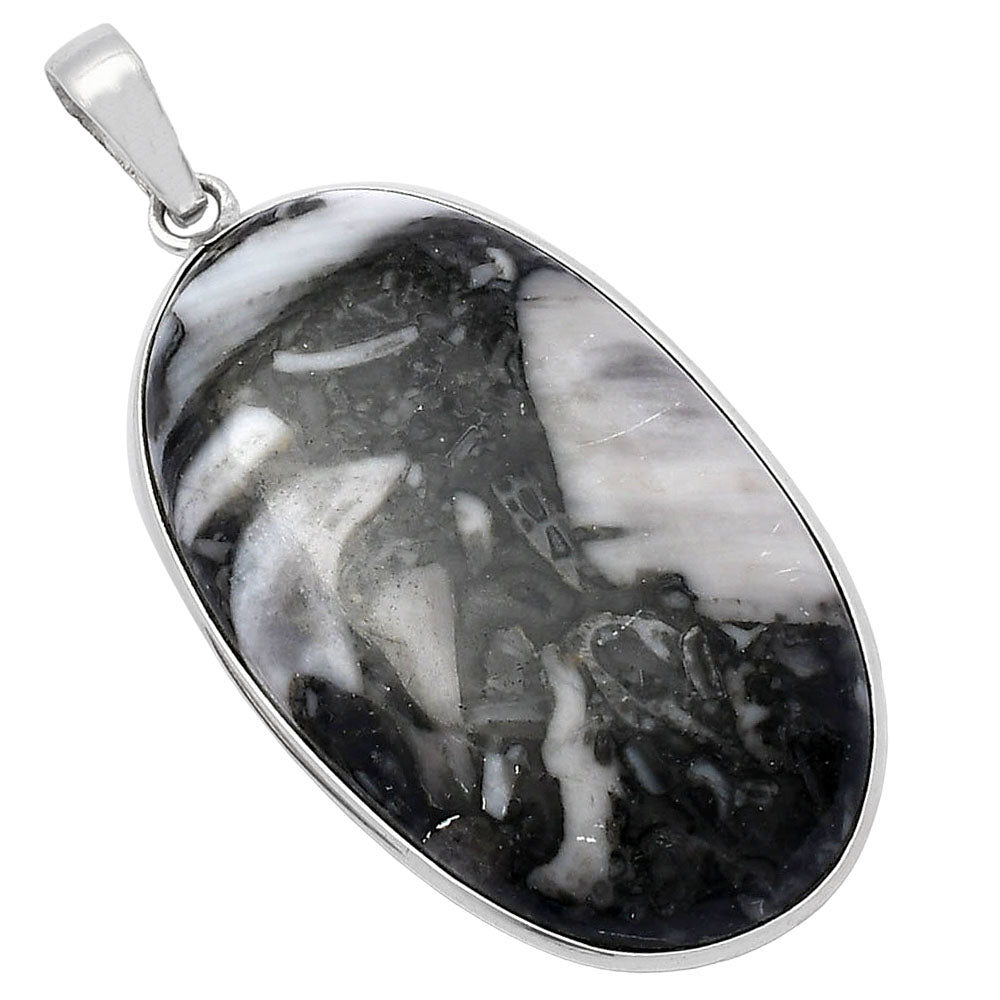 Natural Mexican Cabbing Fossil Pendant P-1001 SDP142150