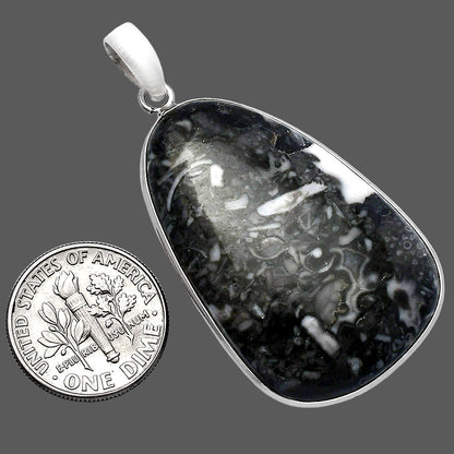 Natural Mexican Cabbing Fossil Pendant P-1001 SDP142895