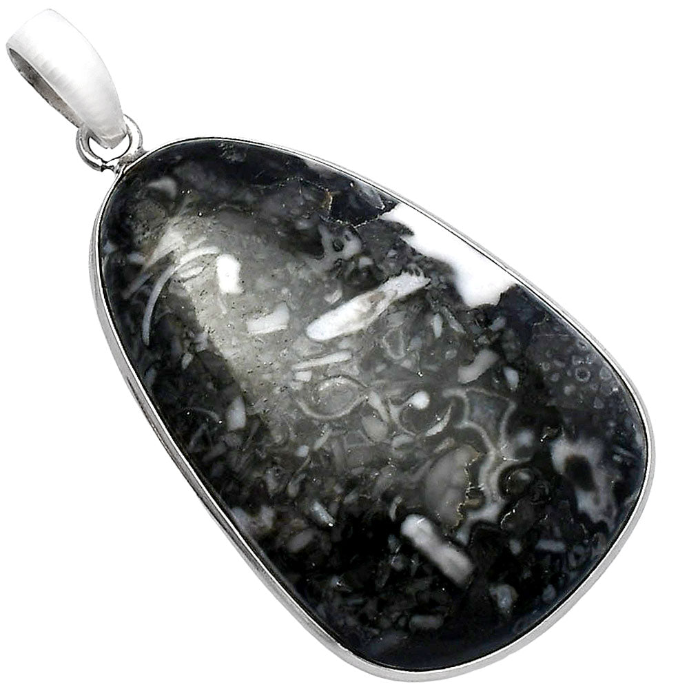 Natural Mexican Cabbing Fossil Pendant P-1001 SDP142895