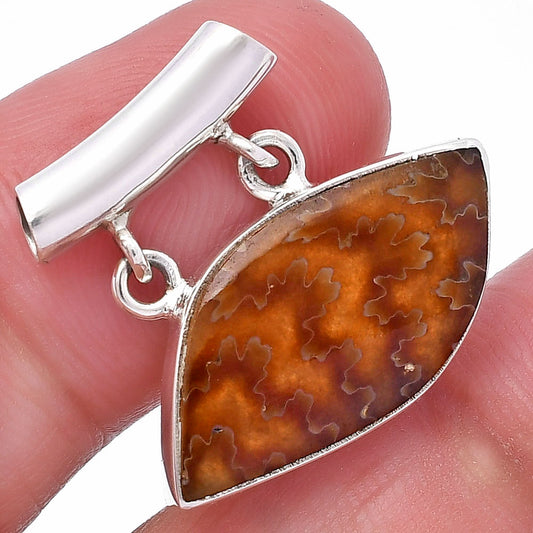 Natural Sutured Ammonite - Madagascar Pendant P-1198 SDP144914