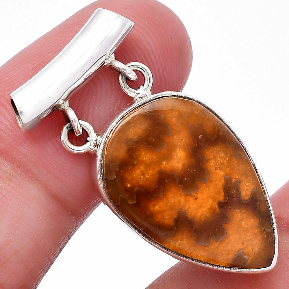 Natural Sutured Ammonite - Madagascar Pendant P-1198 SDP144934