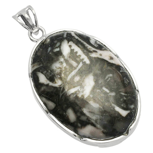 Natural Mexican Cabbing Fossil Pendant P-1310 SDP146950