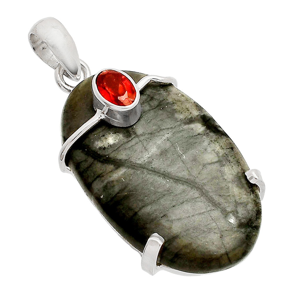 Natural Picasso Jasper & Garnet Pendant P-1386 SDP148485