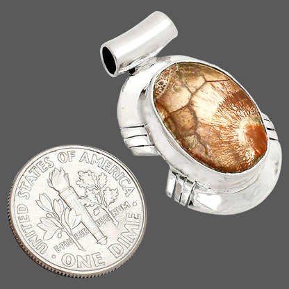 Natural Mexican Bird Eye Pendant P-1598 SDP148790