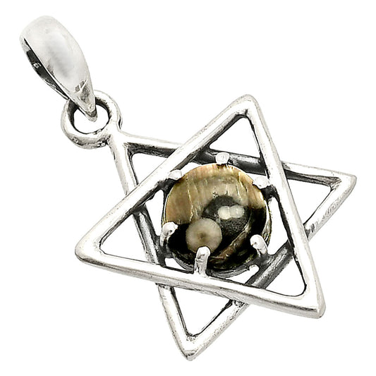 Star of David - Natural Crinoid Fossil Coral Pendant P-1004 SDP150022