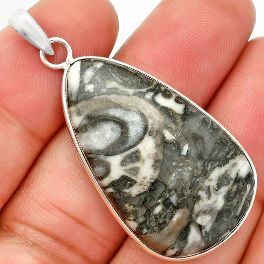 Natural Mexican Cabbing Fossil Pendant P-1001 SDP150281