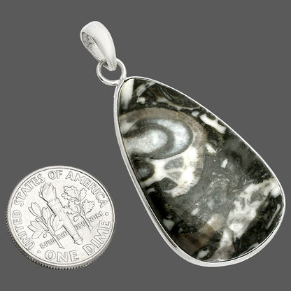 Natural Mexican Cabbing Fossil Pendant P-1001 SDP150281