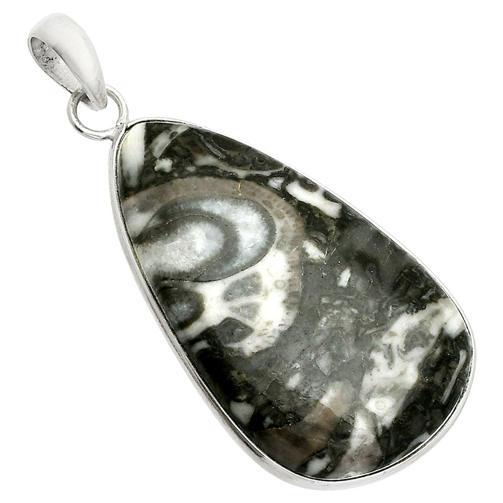 Natural Mexican Cabbing Fossil Pendant P-1001 SDP150281
