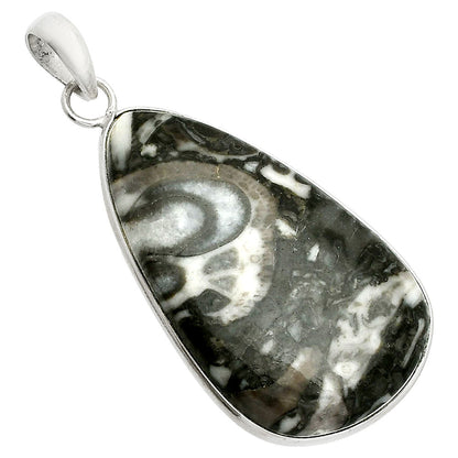 Natural Mexican Cabbing Fossil Pendant P-1001 SDP150281