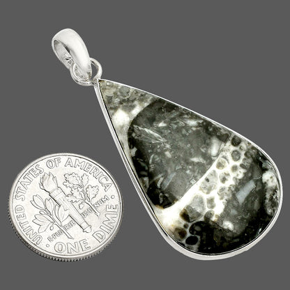 Natural Mexican Cabbing Fossil Pendant P-1001 SDP150311