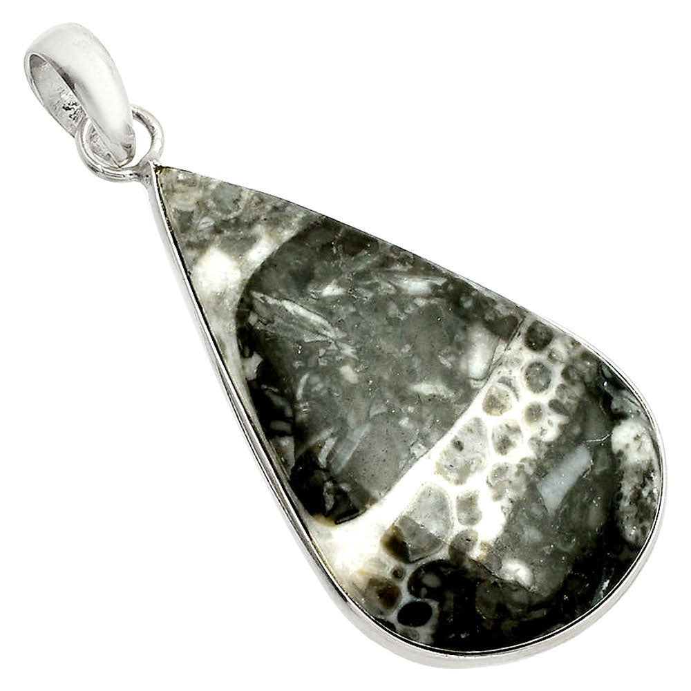 Natural Mexican Cabbing Fossil Pendant P-1001 SDP150311
