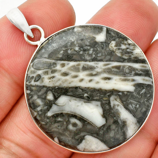 Natural Mexican Cabbing Fossil Pendant P-1001 SDP150329