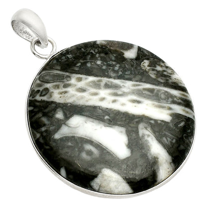 Natural Mexican Cabbing Fossil Pendant P-1001 SDP150329