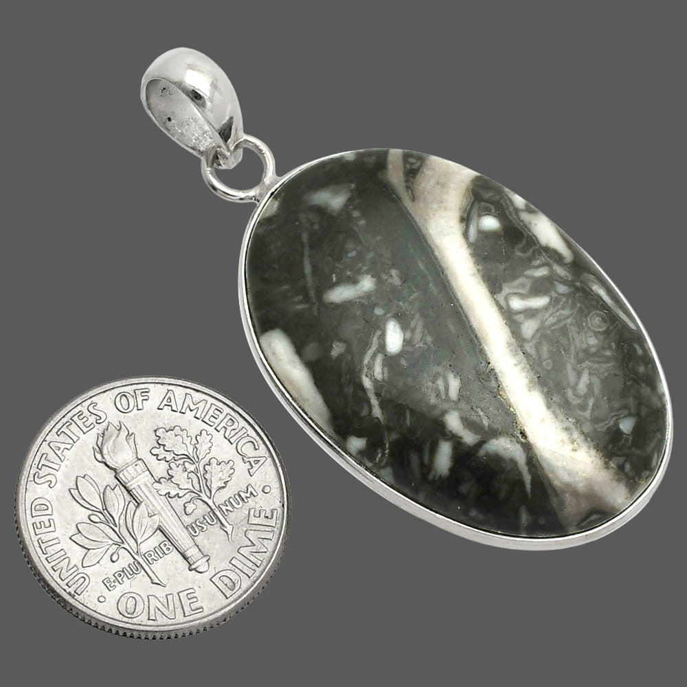 Natural Mexican Cabbing Fossil Pendant P-1001 SDP150390