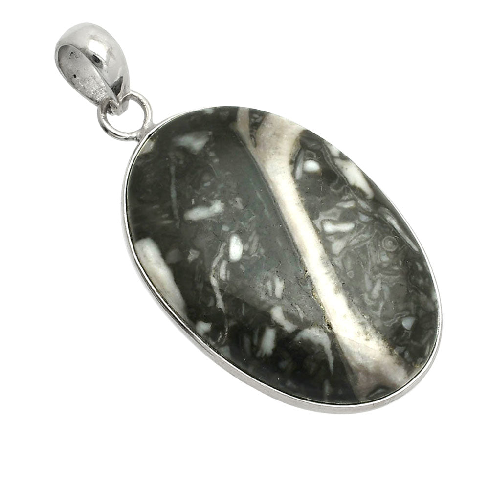 Natural Mexican Cabbing Fossil Pendant P-1001 SDP150390