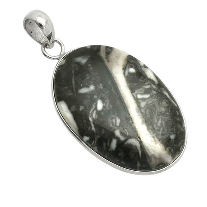 Natural Mexican Cabbing Fossil Pendant P-1001 SDP150390