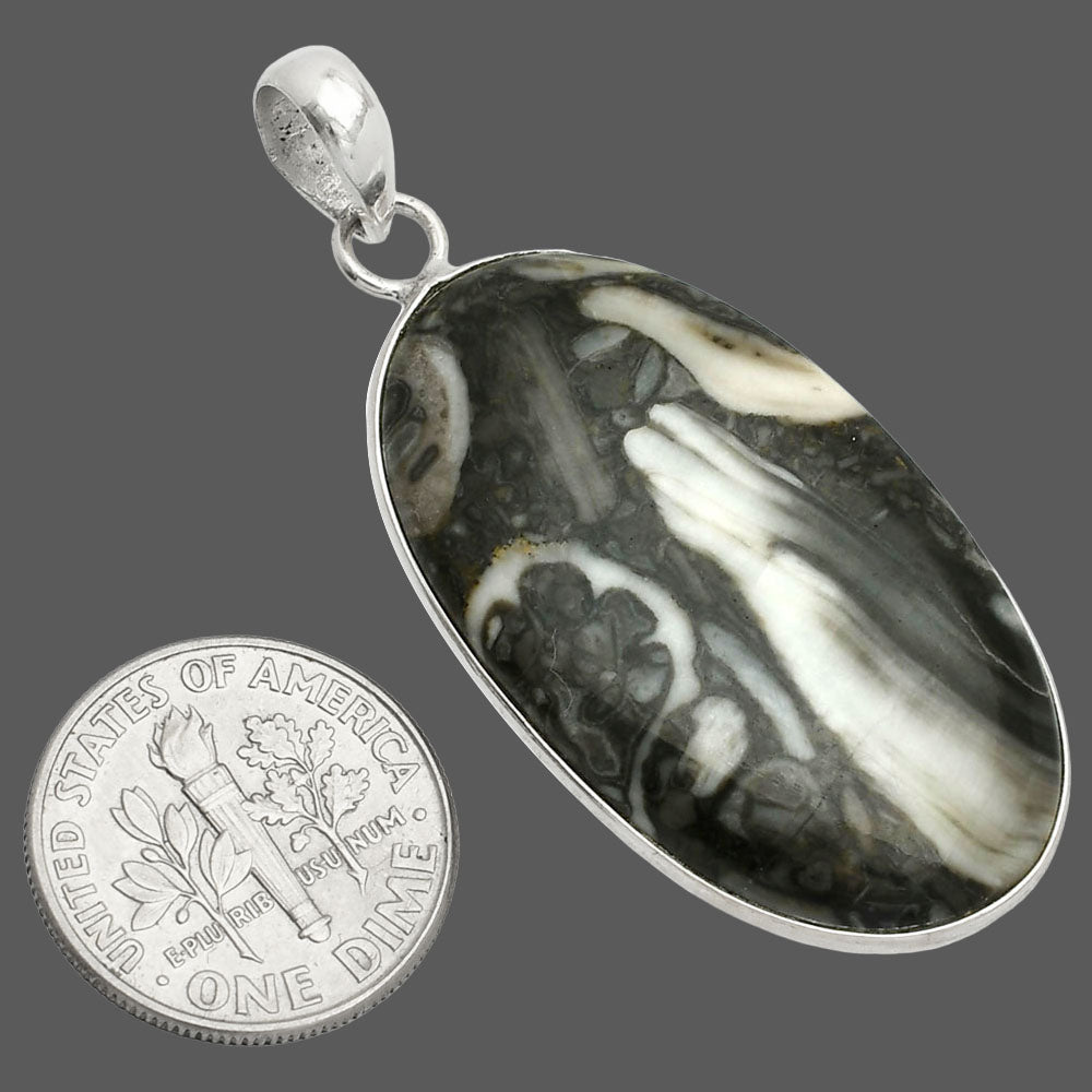 Natural Mexican Cabbing Fossil Pendant P-1001 SDP150404